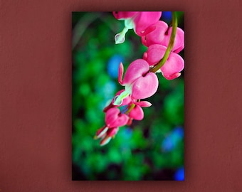 Flower Photograph, Pink Bleeding Hearts Photo Print, Botanical Vertical Wall Art Home Decor, Spring Floral Photography Fine Art Nature Print