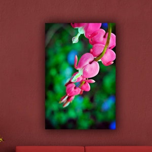 Flower Photograph, Pink Bleeding Hearts Photo Print, Botanical Vertical Wall Art Home Decor, Spring Floral Photography Fine Art Nature Print image 1
