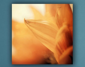 Bloemenfoto, Perzik Bloemen Bloem Bloemblaadje Foto Print, Square Wall Art, Botanische Slaapkamer Woonkamer Office Lobby Decor