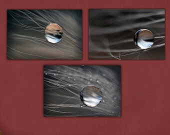Fotografia macro di gocce d'acqua, set di stampe metalliche in bianco e nero