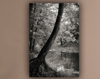 Schwarzweißer Baumdruck, Schiefer Stamm über Wasser, Naturfotografie, Vertikale Wandkunst
