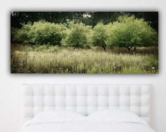 Tree Photograph, Apple Orchard Photography, Wide Print Panorama Photo, Landscape Panoramic Photo Print