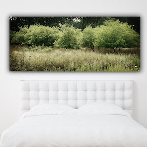 Tree Photograph, Apple Orchard Photography, Wide Print Panorama Photo, Landscape Panoramic Photo Print