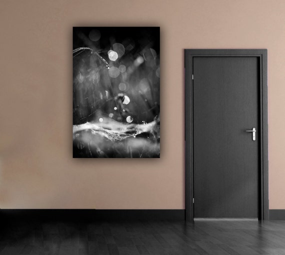 Gothic Abstract Black and White Spider Web Stretched Canvas Print, Cobweb Photograph, Ready to Hang 20x30 Gallery Wrap Canvas