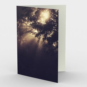 Arbre éthéré avec cartes de notes de photo de Sunbeams, cartes de vœux de nature, trois cartes de note, cartes 5x7 d’art, cartes all Occasion