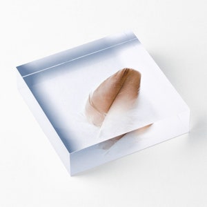 Minimal Feather Acrylic Block Small Art Shelf Sitter, Mantle Art, Acrylic Photo Block, Fine Art Paper Weight, Art Lovers Gift