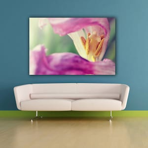 Pink Tulip Flower Photography, Spring Flower Photograph, Close Up Floral Bedroom Wall Art, Fine Art Nature Photo Print
