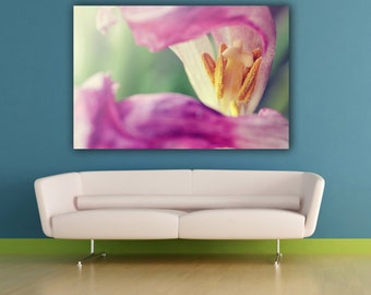 Pink Tulip Flower Photography, Spring Flower Photograph, Close Up Floral Bedroom Wall Art, Fine Art Nature Photo Print