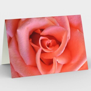 Cartes de notes De fleur de rose de corail, cartes florales d’art fin, ensemble de trois cartes de note 5x7