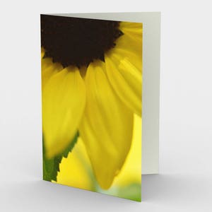 Carton De fleur jaune, cartes de note vierges, Cartes de note de la nature, Cartes de vœux, Trois cartes de note, 5x7 Cartes, Carte Blanche Nature, Toutes les cartes Occasion