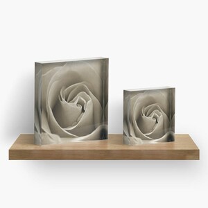 Sepia Rose Flower Acrylic Block, Floral Shelf Sitter, Mantle Art, Small Floral Art, Small Rose Photograph, Fine Art Nature Paper Weight