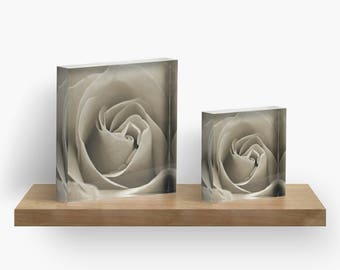 Sepia Rose Flower Acrylic Block, Floral Shelf Sitter, Mantle Art, Small Floral Art, Small Rose Photograph, Fine Art Nature Paper Weight