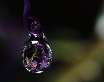 Purple Water Drop Macro Photograph, Asters Flower Wall Art, Raindrop Decor, Fine Art Still Life Photo Print, Flowers Reflected in Water Art