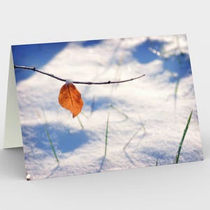 Carte photo de neige d’hiver, ensemble de trois cartes blanches de note 5x7, carte d’art de photographie d’art d’art d’amende de Noel
