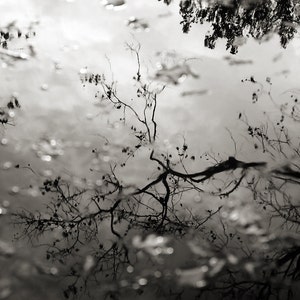 Black & White Nature Photograph, Tree and Sky Water Reflection Picture, Monochromatic Photography, Nature Photo Print