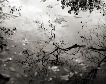 Black & White Nature Photograph, Tree and Sky Water Reflection Picture, Monochromatic Photography, Nature Photo Print