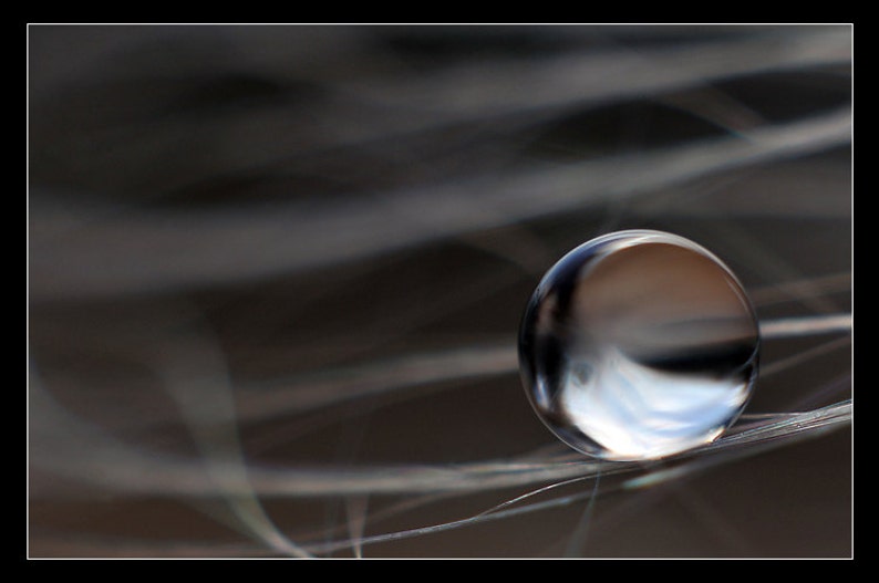 Living Room Wall Art Macro Water Drop Photograph Ethereal Dew Drop Photo Print Fine Art Close up Nature Photography Office Lobby Decor