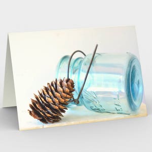 Pine Cone Fine Art Photo Blank Note cards, Nature Note Cards, Cartes de vœux, Three Note Cards, 5x7 Cards, All Occasion Cards