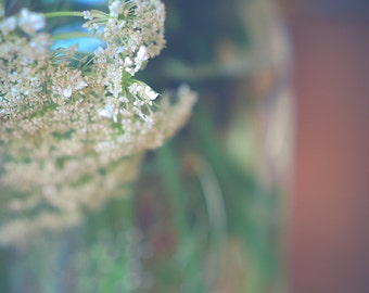 Flower Photograph, Queen Ann's Lace Still Life Flower Photography, Floral Vertical Wall Art, Botanical Photo Print, Flowers in a Jar Picture