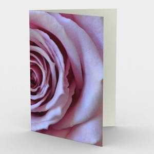 Pink Rose Flower Blank Note cards, Nature Note Cards, Greeting Cards, Three Note Cards, 5x7 Cards, All Occasion Cards
