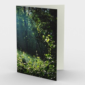 Green Thicket Photo Blank Note cards, Nature Note Cards, Fine Art Greeting Cards, Three Note Cards, 5x7 Cards
