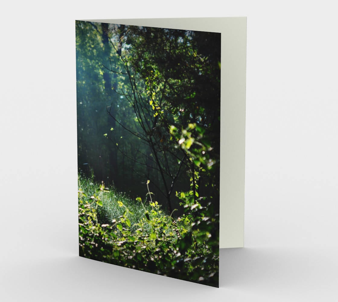 100 Weiße Karten 21x10cm - 300g/m² Kartonkarten Matt