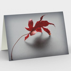 Red Autumn Leaf Fine Art Photo Cartes de note vierge, Cartes de vœux, Trois cartes de note, 5x7 Cartes, Nature Blank Card, Toutes les cartes Occasion