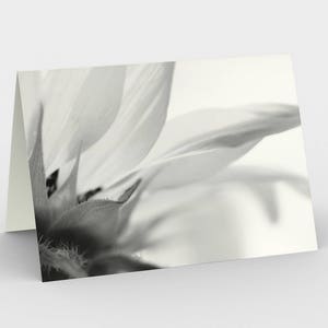 Cartes blanches noires et blanches de note blanche de fleur, cartes florales de salutation de nature d’art, cartes de trois notes, cartes de 5x7, cartes de toutes les occasions