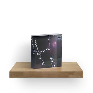 May include: A close-up of a spider's web with dewdrops hanging from the strands. The web is illuminated by a soft light, creating a shimmering effect. The background is dark and blurred.