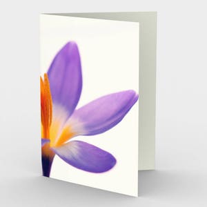 Purple Crocus Card, Cartes De note Vierge, Cartes De note nature, Cartes de vœux, Trois Cartes De Note, 5x7 Cartes, Nature Blank Card, Toutes les cartes Occasion