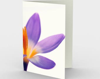Lila Krokus-Karte, leere Note Karten, Natur-Hinweis-Karten, Grußkarten, drei-Gruß-Karten, 5 x 7 Karten, Natur leere Karte, alle Gelegenheit Karten