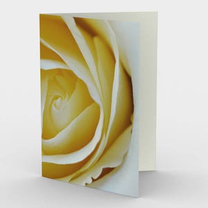 Carton Rose Jaune, Cartes De Note Vierge, Cartes De Note De Fleurs, Cartes de vœux, Trois Cartes De Note, 5x7 Cartes, Carte Blanche Nature, Toutes les cartes Occasion