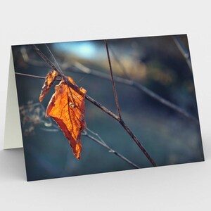 Cartes de notes Blanches De la feuille d’automne, Cartes de vœux Nature, Trois cartes de note, cartes 5x7, Cartes Blank All Occasion