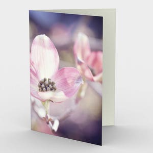 Cartes Pink Dogwood Fine Art Photo Blank Note, Cartes de vœux Nature, Trois Cartes De Note, 5x7 Cartes, Nature Blank Card, Toutes les cartes Occasion