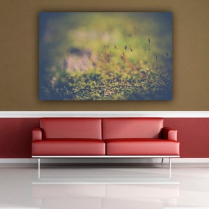 Ethereal Close Up Macro Nature Photography, Dreamy Fairyland Moss Woodland Photograph, Muted Green Fine Art Photo Print