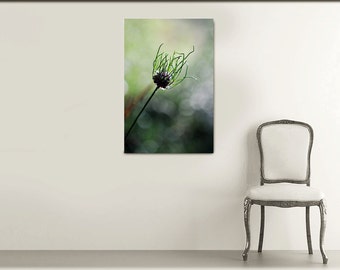 Fotografia de Cebola Selvagem, Impressão Artística da Natureza Verde, Decoração de Parede para Quarto