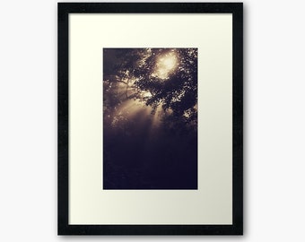 Framed Ethereal Sun shining through Trees Photograph, Ready to Hang Fine Art Nature Photography Print, Nature lovers Art, Office Wall Decor