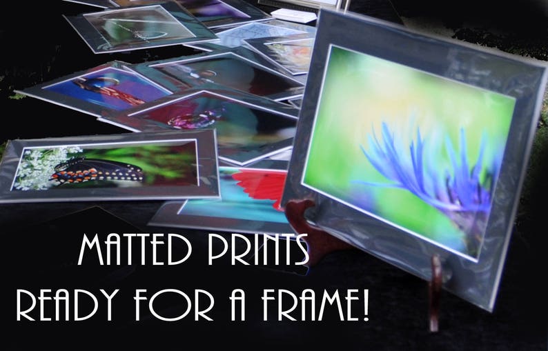 Black and White Photography Studio Clearance Sale 4 Matted Etsy