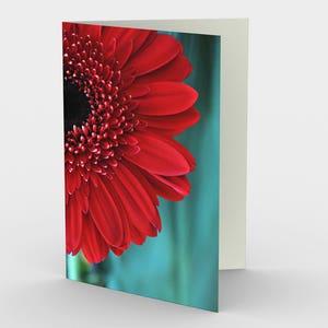 Red Gerber Daisy Flower Card, Lege Floral Note kaarten, Set van drie Rode Bloem verjaardagskaarten, Rode en Teal Blanks Wenskaarten