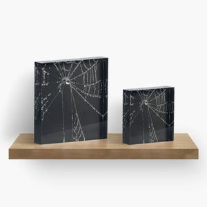 Gothic Acrylic Block, Shelf Sitter, Mantle Art, Small Art, Spider Web Paper Weight, Fine Art Nature Photo Block, Shelf Sitter, Cob Web Decor