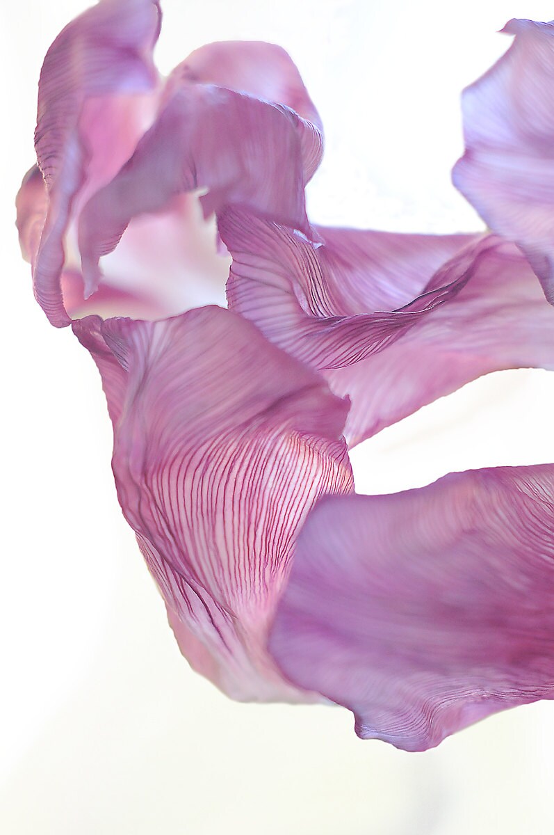 Abstract Photography Minimal Photograph Fine Art Photo Print Etsy