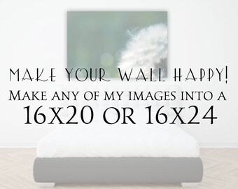 16x20 16x24 Oversized Wall Decor, Living Room Wall Art, Large Custom Wall Home Decor Photo Prints, Macro Photography, Black and White Photos