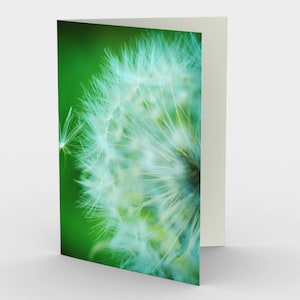 Tarjeta de diente de León, tarjetas de nota en blanco, tarjetas de notas de la naturaleza, tarjetas de felicitación, tres tarjetas de nota, tarjetas 5x7, tarjeta en blanco de la naturaleza, todas las tarjetas de ocasión