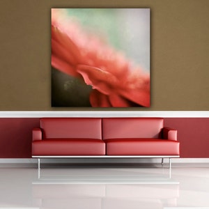 May include: A close-up of a red flower with a soft, blurred background. The flower is in focus and the petals are delicate and soft.