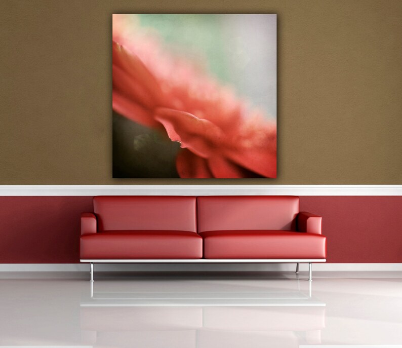 May include: A close-up of a red flower with a soft, blurred background. The flower is in focus and the petals are delicate and soft.