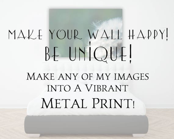 Vibrant Metal Print, Nature Photography, Custom Aluminum Wall Art