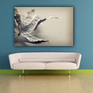 Leaf Photograph, Black & White Nature Minimal Autumn Leaf Fall Leaf Photography, Fine Art Photo Print Living Room Office Lobby Wall Decor