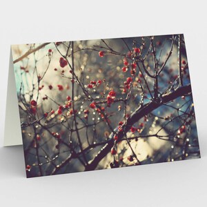 Branche d’hiver avec carte de vœux blanc de baies rouges, ensemble de trois cartes de note blanche de photographie de nature, 3 cartes de note 5x7