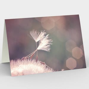Carte de dandelion rose, cartes de note vierges, cartes de note de nature, cartes de vœux, trois cartes de note, 5x7 cartes, carte Blanche Nature, toutes les cartes d’occasion