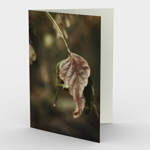 Carte feuille d’automne, cartes De note vierges, Cartes De note nature, Cartes de vœux, Trois cartes de note, 5x7 Cartes, Carte Blanche Nature, Toutes les cartes Occasion